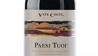 Barolo Paesi Tuoi Vite Colte