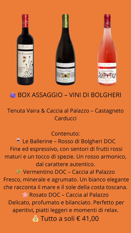 Box Assaggio "Bolgheri"