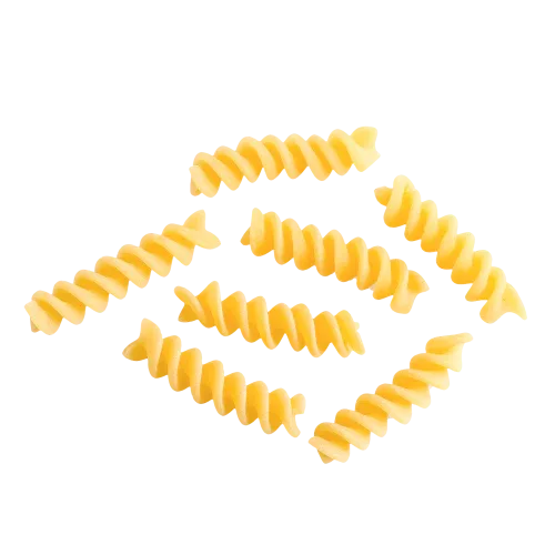Pasta Artigianale formato fusilli gr. 500