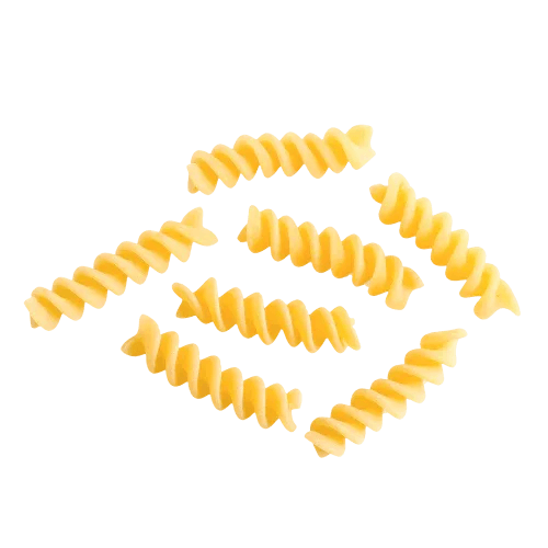 Pasta Artigianale formato fusilli gr. 500