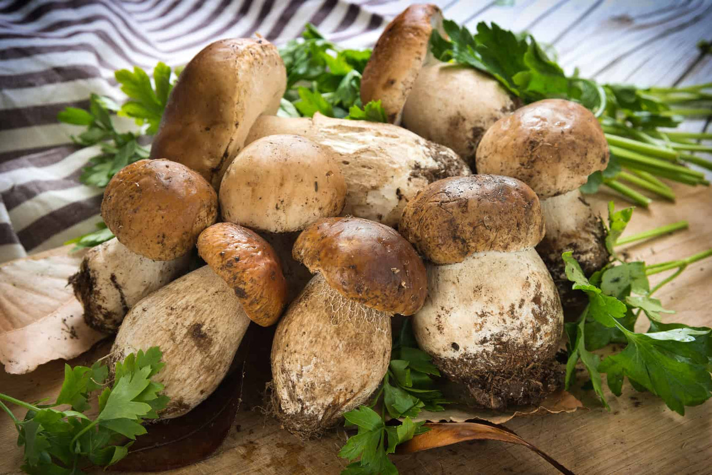 Funghi Porcini a Pezzi in Olio d'Oliva 230g Sala Cereali