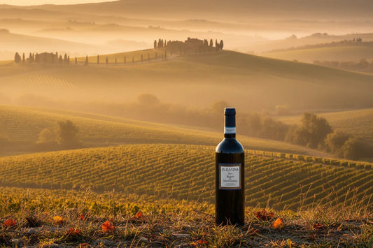 Rosso di Montalcino La Rasina - Colline di Montalcino al tramonto