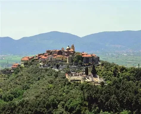 Vini dei Colli di Luni