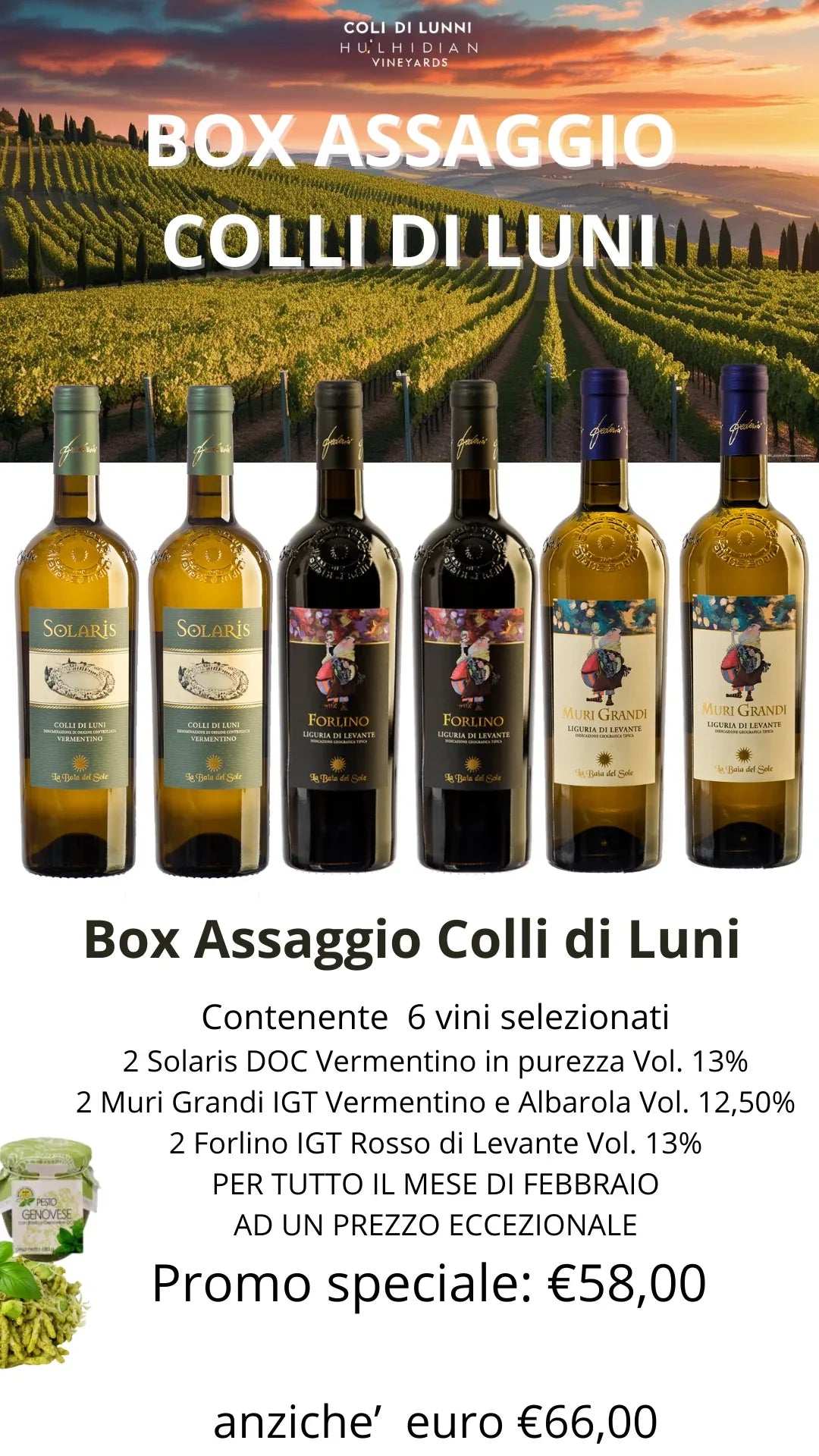 Box 6 Vini Selezionati Colli di Luni - Promo Febbraio