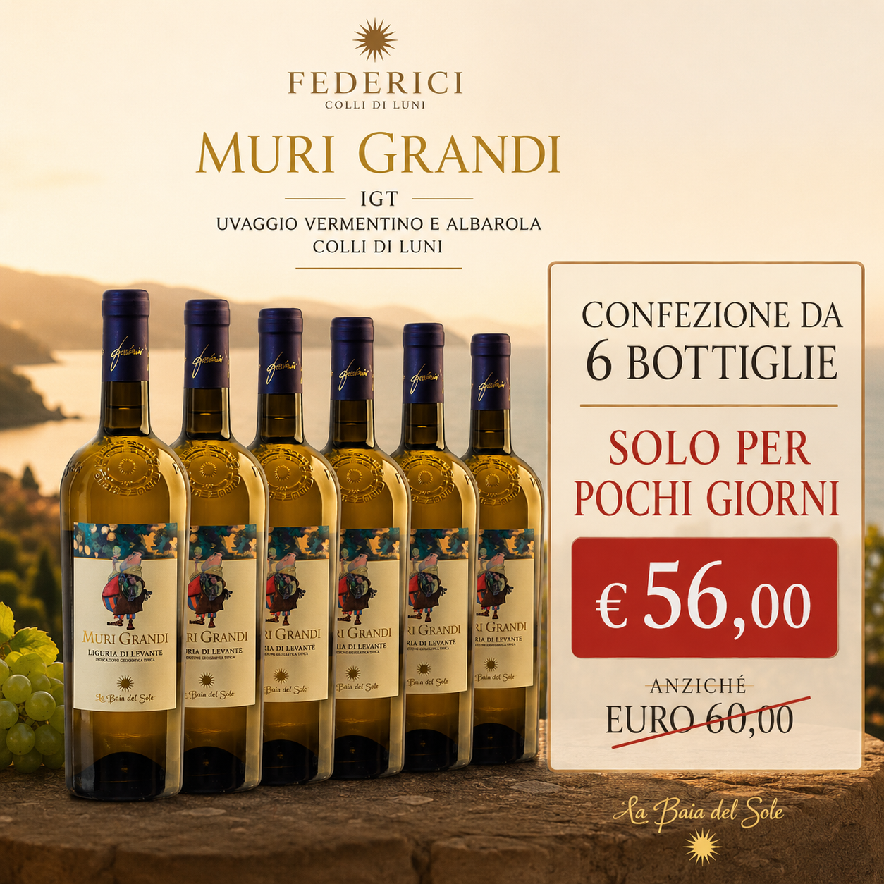 Muri Grandi IGT Colli di Luni - Confezione 6 Bottiglie cl. 750 - 2025