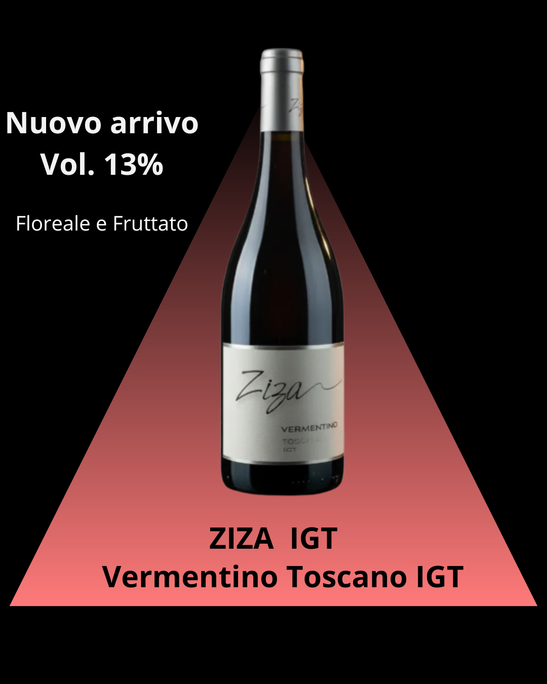 Super Promozione Vermentino Toscano IGT Ziza - 6 Bottiglie